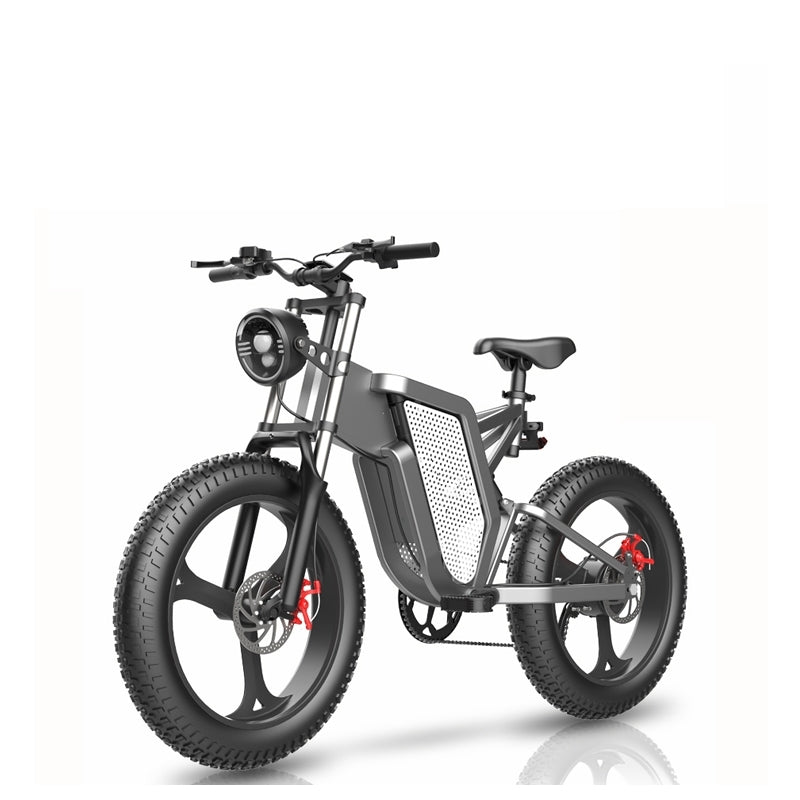 20 Inch 48V New National Standard Off-road Electric Bicycle Assistance